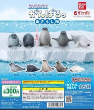 動物扭蛋 海獅扭蛋 海洋生物扭蛋 日本扭蛋 海洋公園