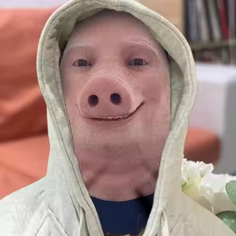 2PCS For John Pork Is Calling Interesting 3D Printed Seamless Mask John Pork Smiling Cosplay Facial 