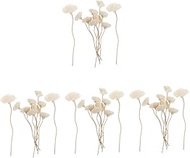 40 Pcs Reed Diffuser Scent Diffuser Essential Oil Diffuser Sticks Aroma Diffuser Fragrance Diffuser Dried Flower Diffuser Sticks Diffuser Reed Diffuser Stick Rose Rose/167