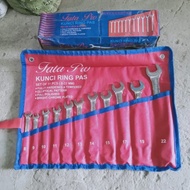 Fata Pro 11-Piece Ring Spanner Set 8-22mm Spanner Set