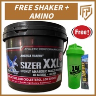 America Pharma Sizer XXL 10lbs/ 4.5kg (Free Shake+Amino Stix) - mass gainer, weight gainer, on mass,