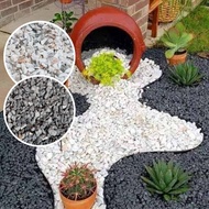Japanese Zen Garden Black Pebble Stone Chipping Stone Batu Hiasan 1kg
