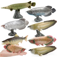 ✊Pengilang Borong✊Simulation Marine Animal Model Golden Arowana Silver Arowana Sparrow Eel Maha Fish Solid Static Plastic Ornaments Toys