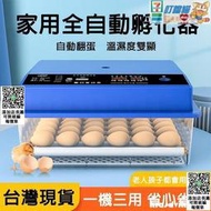 48枚孵蛋機 全自動孵化器 智慧控溫箱 小雞孵化機 智能孵化箱 鵪鶉孵蛋機保溫箱 110V和220V雙用 ddm  露天