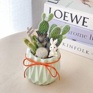 PD149多肉仙人掌造型水泥盆 / 多肉仙人掌盆栽