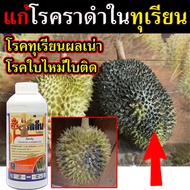 ป้องกันทุเรียนเน่า โรคโคนเน่าในทุเรียน 1 ลิตร ทุเรียนเน่าใน โรคทุเรียนใบจุด ทุเรียนเน่า ทุเรียนยอดเน่า ทุเรียนต้นเน่า โรคผลเน่าในทุเรียน โคนเน่าทุเรียน เชื้อราใบไหม้ทุเรียน โรคเชื้อราทุเรียน โรคทุเรียนใบเหลือง ต้นทุเรียนปลายใบไหม้ ราดำทุเรียน