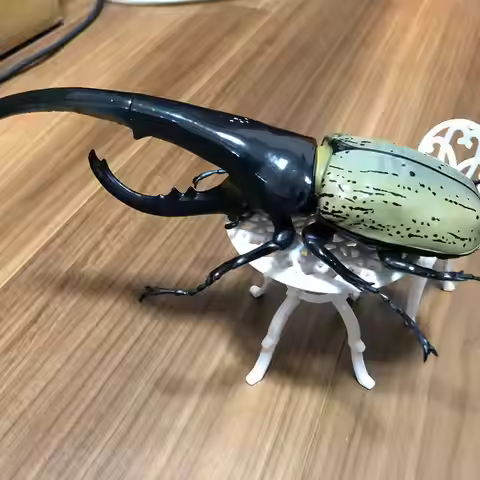 Hot So-Ta Dynastes Hercules 1:1 Giant Beetle Gashapon Capsule Life-Size Latin America Rhinoceros Ins