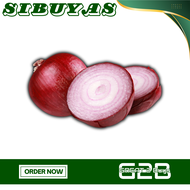 100Grams  Medium size Sibuyas Red Onion Bulb