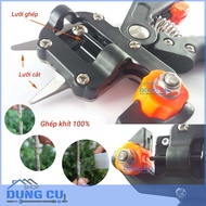 SPECIALIZED TREE BRANCHES