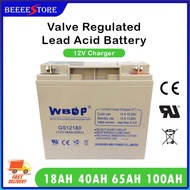 WBSP 12V 18AH/40AH/65AH/100AH VALVE REGULATED  LEAD-ACID BATTERY RECHARGER BATTERY Lead Acid Battery