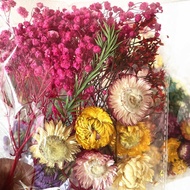 Handmade Dried Flower Small Bouquet Natural Real Flower Dried Glue Dried Flower Material Packaging B