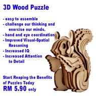DIY 3D Wood  Puzzles