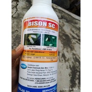 1Liter Hextar Bison SC Racun Lalat Putih (Diafenthiuron 47.6%)