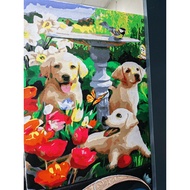 "Done Paint "Painting By Numbers Paint Number