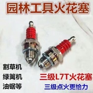 Spark Plug Agricultural Machinery Microcultural Machinery Polishing Machine Lawn Machine 168F170/F7T