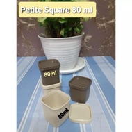 Petite Square Retail (1pcs) Tupperware