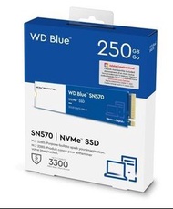 ⭕高效能文書SSD 5年保養⭕⭐🌟WD Blue SN570 NVMe™ SSD⭐🌟250GB 500GB 1TB