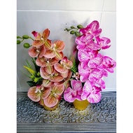 pokok hiasan dalam rumah✫【Ready Stock】 ✫hiasan rumah✫ Bunga orchid