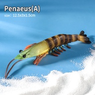 Sea Life Animals Boston Lobster Mantis Shrimp Model Action Figures Ocean Marine Aquarium Figurines E
