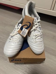 Asics DS LIGHT x-Fly pro2 25.5