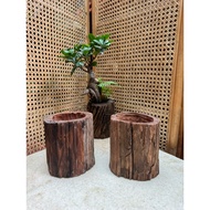 CG02 - Tree stump wooden pot, mini wooden pot, Wooden pot