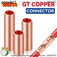 POPULAR 100Pcs GT Copper Terminal Connecting Tube, GT-1/1.5/2.5/4/6/10/16/25 Cable Connector Kit Wir