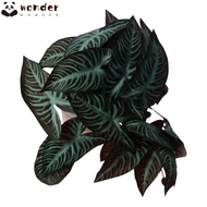 WONDER Artificial Water Plants, Plastic Green Fish Tank Plants, Aquarium 25CM Tall Habitat Decor Fis