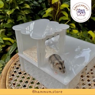 Acrylic Syrian Hamster House | Acrylic Syrian Hamster House | Hamster Hideout