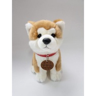 [AKITA Dog] Plush Doll M Size Seated AKITA Dog Preservation INU White Autumn Red Tabby Color