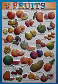 Poster Timbul Tempel Dinding Anak Belajar Buah-buahan