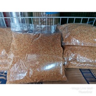 Kambu Makanan Burung 1KG