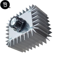 TRB AC 220V 5000W SCR Voltage Regulator Motor Speed Controller Light Dimming Dimmers Thermostat 5000