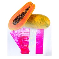 Plastic Papaya /Plastik Betik (3x12”)250gm+-
