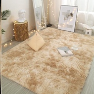 Floor carpet 1m6x2m