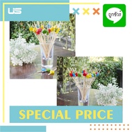 Food Pick 12 Cm. (24PCS) US