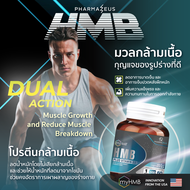 HMB Plus Vitamin D3 เสริมสร้างและชะลอการสลายตัวของกล้ามเนื้อ