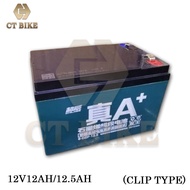 Electric Battery  Ebike 12V12AH Lead Acid - RANDOM COLOR (GREEN/BLACK)(1PCS ONLY)