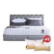 Dunlopillo ที่นอน รุ่น Twilight (344526-625629010)