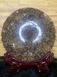JX World 加持斑彩螺盘摆件 Blessed Ammonite Plate Ornament