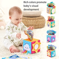 Baby Toys 6 to 12 Months - Baby Tissue Box Toys for Babies 6-12 Months - Soft Crinkle Infant Sensory