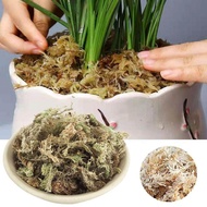 Sphagnum Moss Moisturizing Nutrition Organic Fertilizer Protect Orchid Succulent Plant Roots DIY Flower Pot Home Garden