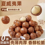 Dried Nuts Macadamia Nuts New Granular Cream Flavor Creamy Nuts Casual Snacks Small Bag Macadamia Nu