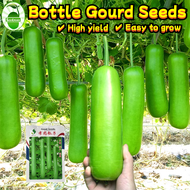 High Yield Upo Tambuli Seeds Long Bottle Gourd Seeds for Sale (25 pcs/pack) F1 Upo Seeds for Plantin