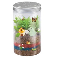 【SG STOCK】Grow and Glow Terrarium Plant Growing Kit for Kids Educational DIY Projects for Children Boys and Girls