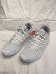 Nike Hyperdunk X Low 10 白 Pure Platinum 男款籃球鞋