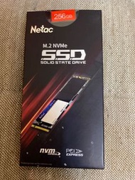 Netac M2SSD 256GB