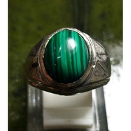 Malachite Peacock Feather