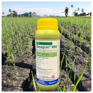 [ORIGINAL] 1L BASAGRAN M60 BASF HERBICIDE 37.0 + 6.2% RACUN RUMPAI RUMPUT/ KELADI AGAS SESUAI UTK ME