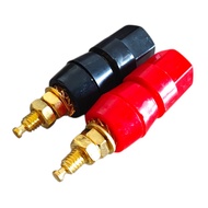 Bidding post GOLD Speaker