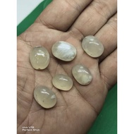 Batu mani gajah asli